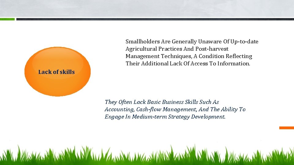 Smallholders Are Generally Unaware Of Up-to-date Agricultural Practices And Post-harvest Management Techniques, A Condition
