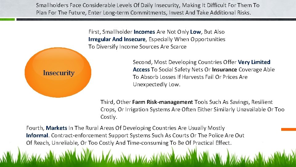 Smallholders Face Considerable Levels Of Daily Insecurity, Making It Difficult For Them To Plan