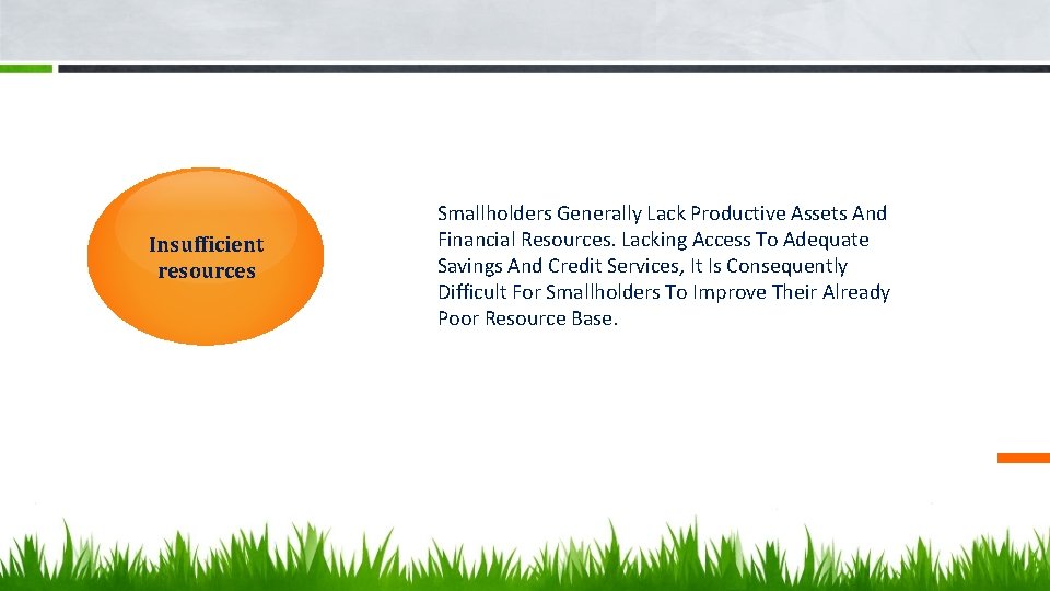 Insufficient resources Smallholders Generally Lack Productive Assets And Financial Resources. Lacking Access To Adequate