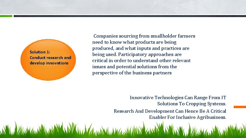 Solution 1: Conduct research and develop innovations Companies sourcing from smallholder farmers need to