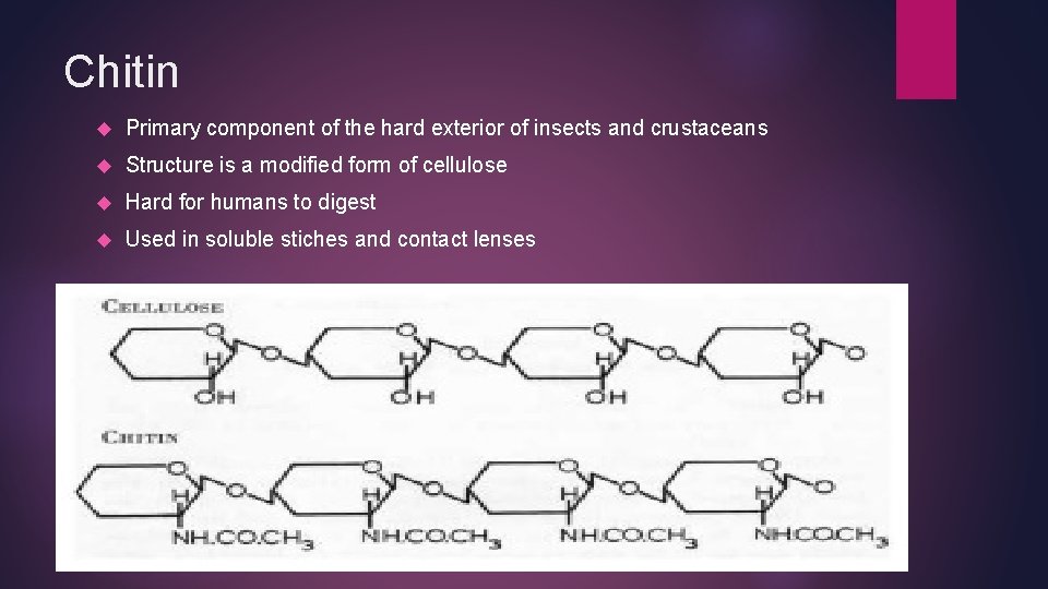 Chitin Primary component of the hard exterior of insects and crustaceans Structure is a