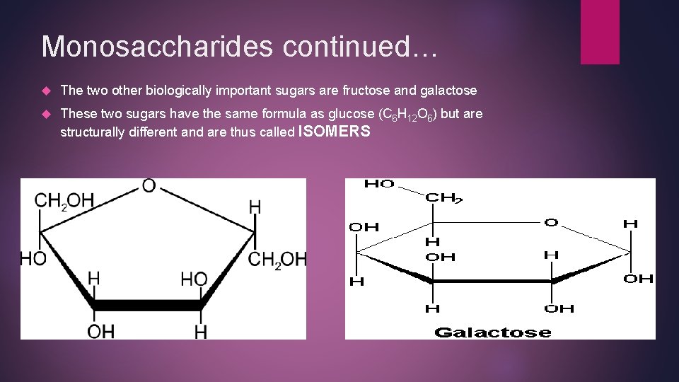 Monosaccharides continued… The two other biologically important sugars are fructose and galactose These two