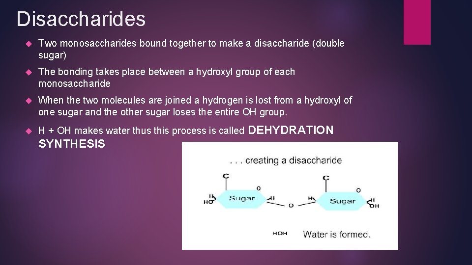 Disaccharides Two monosaccharides bound together to make a disaccharide (double sugar) The bonding takes