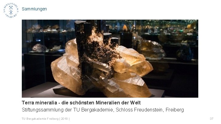 Sammlungen Terra mineralia - die schönsten Mineralien der Welt Stiftungssammlung der TU Bergakademie, Schloss