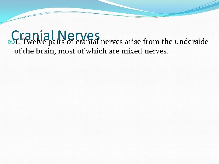 Cranial Nerves 1. Twelve pairs of cranial nerves arise from the underside of the