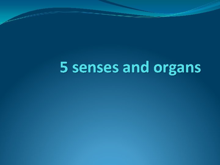 5 senses and organs 