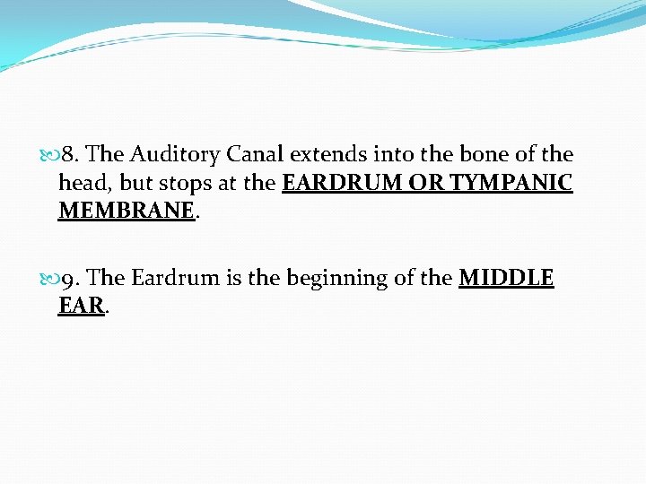  8. The Auditory Canal extends into the bone of the head, but stops