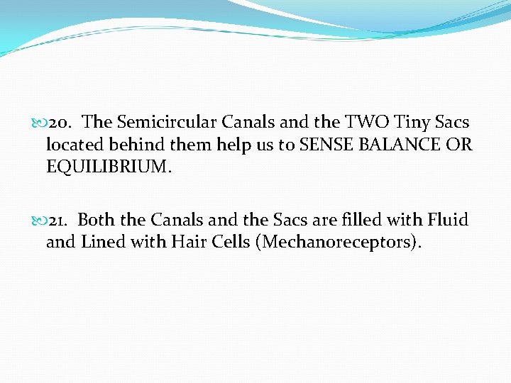  20. The Semicircular Canals and the TWO Tiny Sacs located behind them help