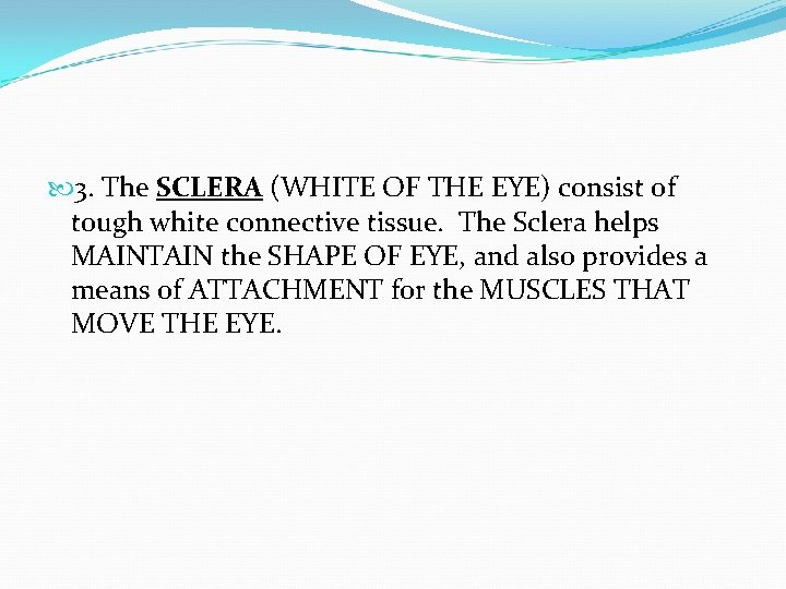  3. The SCLERA (WHITE OF THE EYE) consist of tough white connective tissue.