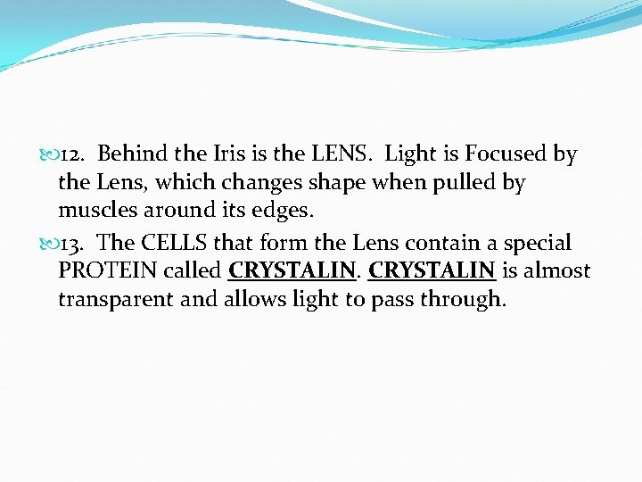  12. Behind the Iris is the LENS. Light is Focused by the Lens,