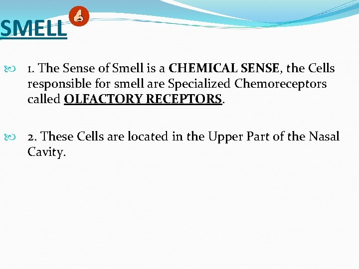 SMELL 1. The Sense of Smell is a CHEMICAL SENSE, the Cells responsible for