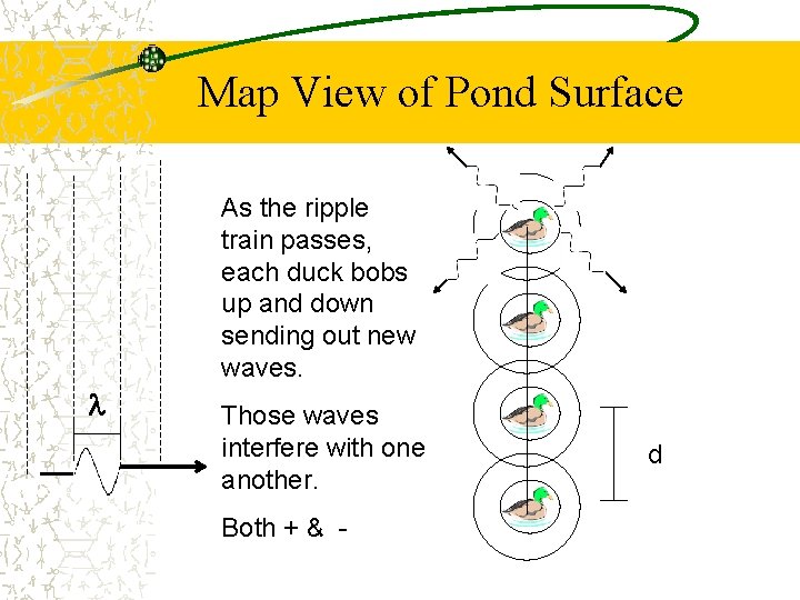 Map View of Pond Surface As the ripple train passes, each duck bobs up