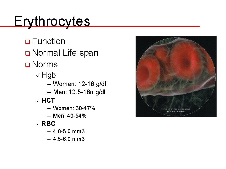 Erythrocytes q Function q Normal Life span q Norms ü Hgb ü – Women: