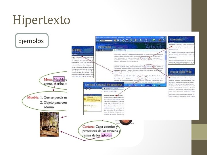 Hipertexto Ejemplos 