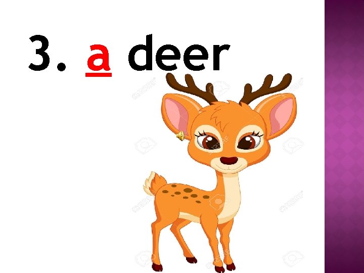3. a deer 