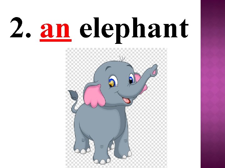 2. an elephant 