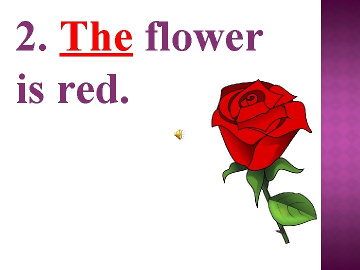 2. The flower is red. 