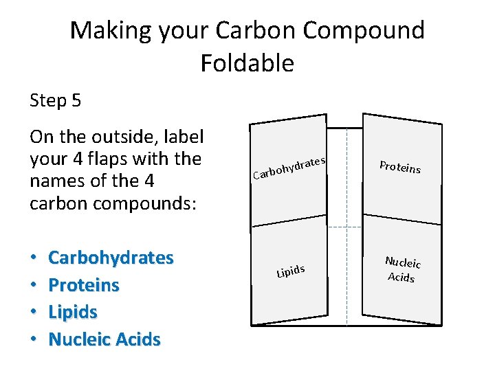 Making your Carbon Compound Foldable Step 5 On the outside, label your 4 flaps