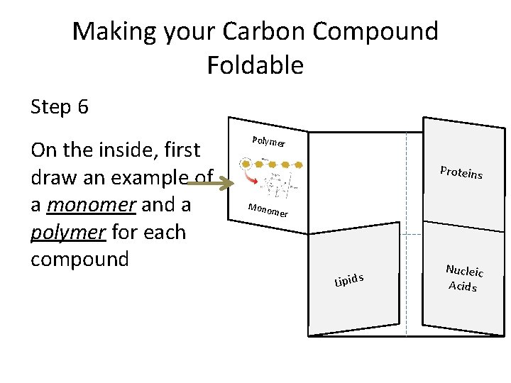 Making your Carbon Compound Foldable Step 6 On the inside, first draw an example