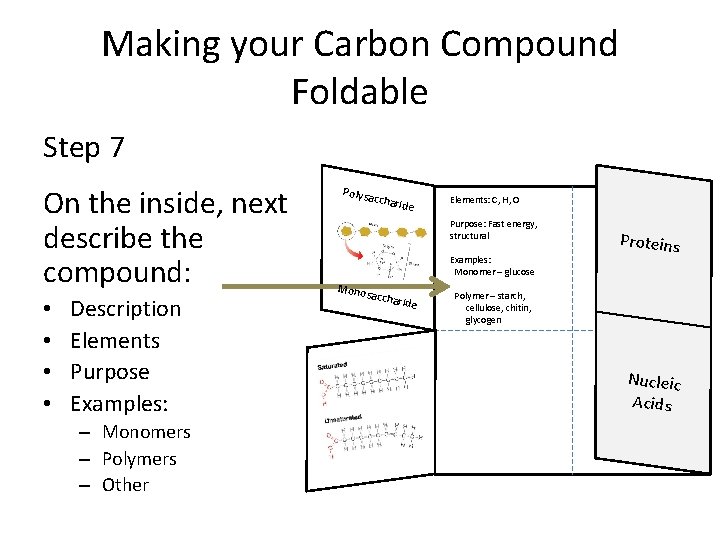 Making your Carbon Compound Foldable Step 7 On the inside, next describe the compound: