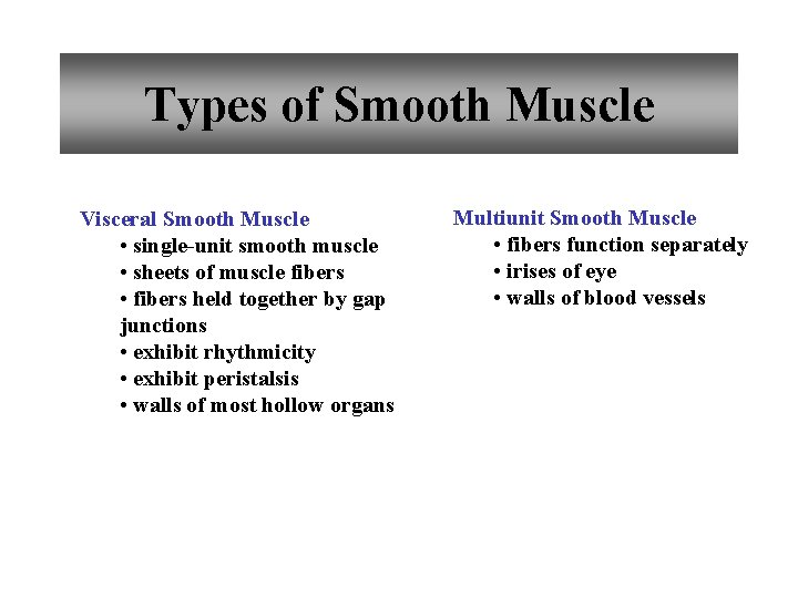 compare the structure of smooth muscle fibers and skeletal muscle fibers