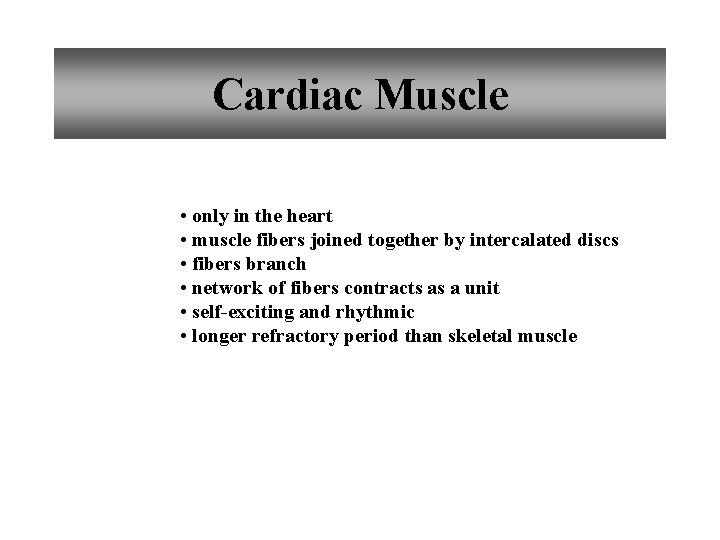 Cardiac Muscle • only in the heart • muscle fibers joined together by intercalated