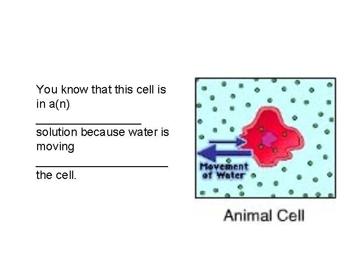 You know that this cell is in a(n) ________ solution because water is moving