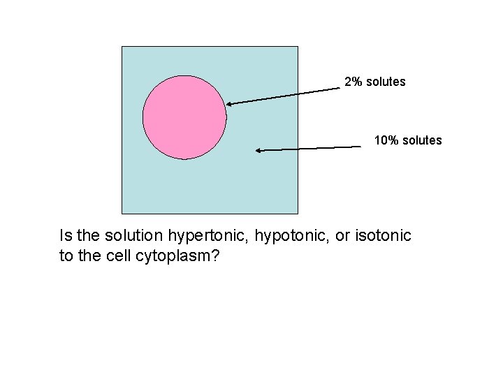 2% solutes 10% solutes Is the solution hypertonic, hypotonic, or isotonic to the cell