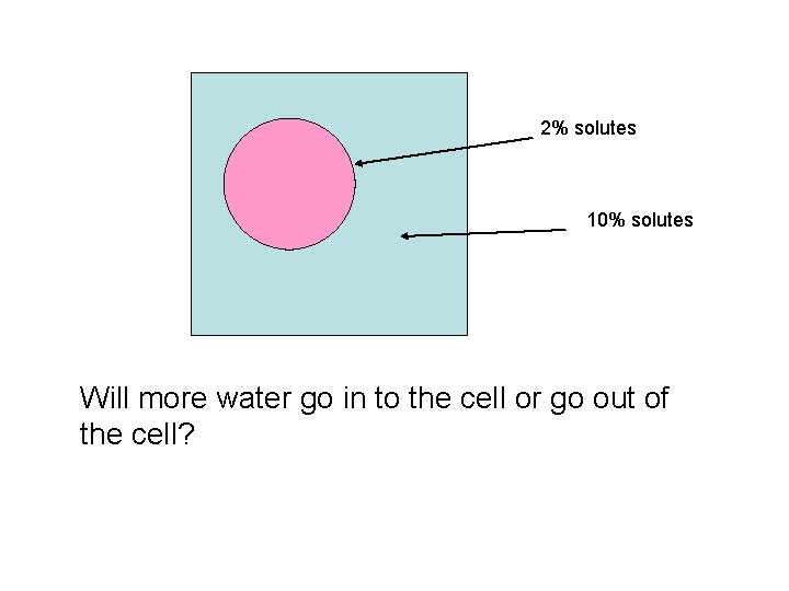 2% solutes 10% solutes Will more water go in to the cell or go