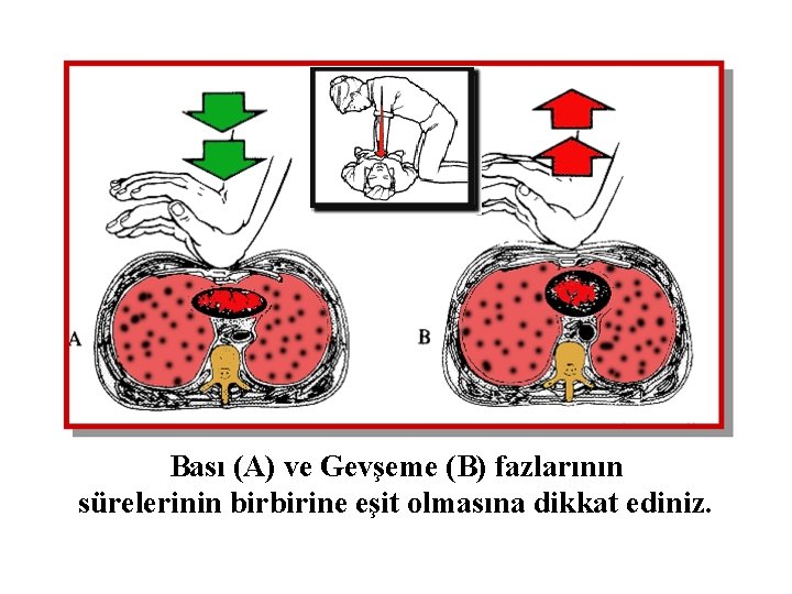 Bası (A) ve Gevşeme (B) fazlarının sürelerinin birbirine eşit olmasına dikkat ediniz. 