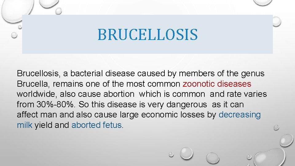 BRUCELLOSIS Brucellosis, a bacterial disease caused by members of the genus Brucella, remains one