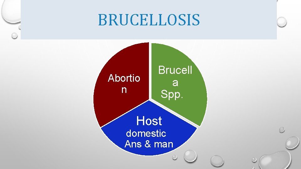 BRUCELLOSIS Abortio n Brucell a Spp. Host domestic Ans & man 