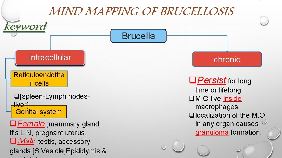 keyword MIND MAPPING OF BRUCELLOSIS intracellular Reticuloendothe il cells q[spleen-Lymph nodesliver] Genital system q.