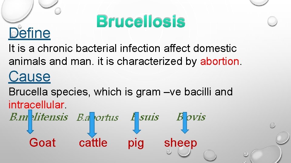 Define Brucellosis It is a chronic bacterial infection affect domestic animals and man. it