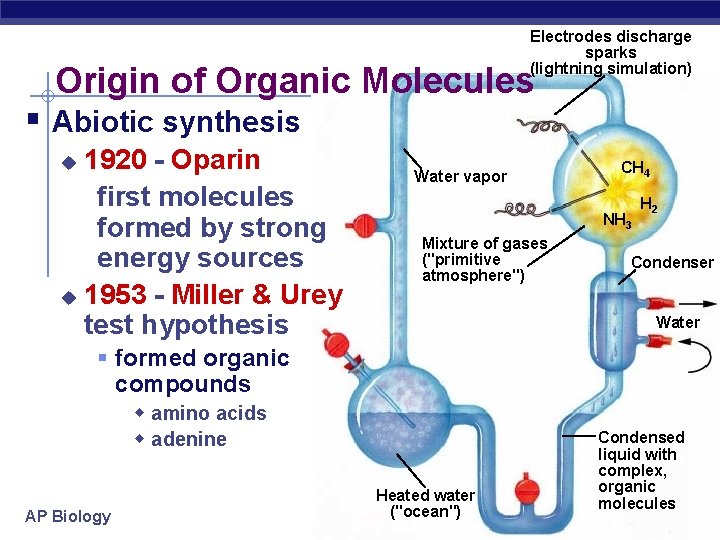 Electrodes discharge sparks (lightning simulation) Origin of Organic Molecules § Abiotic synthesis 1920 -