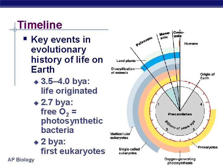 Timeline § Key events in evolutionary history of life on Earth 3. 5– 4.