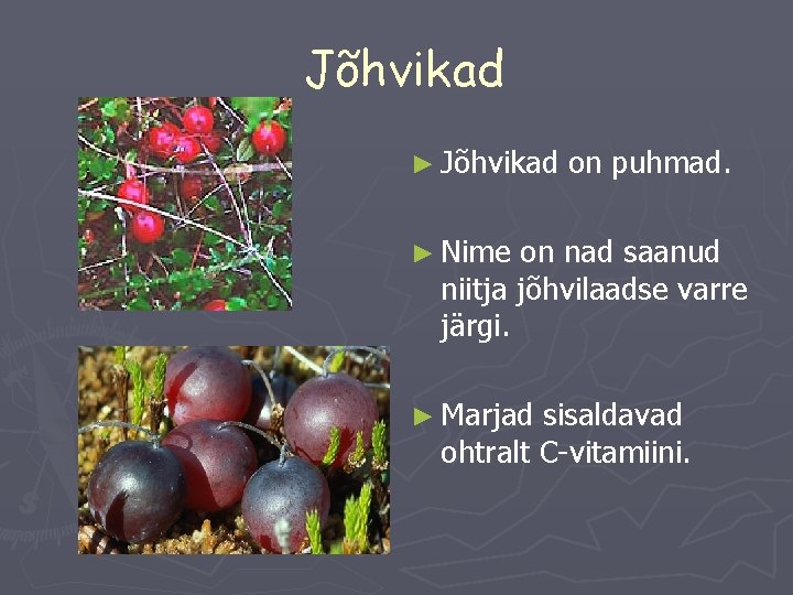 Jõhvikad ► Jõhvikad on puhmad. ► Nime on nad saanud niitja jõhvilaadse varre järgi.