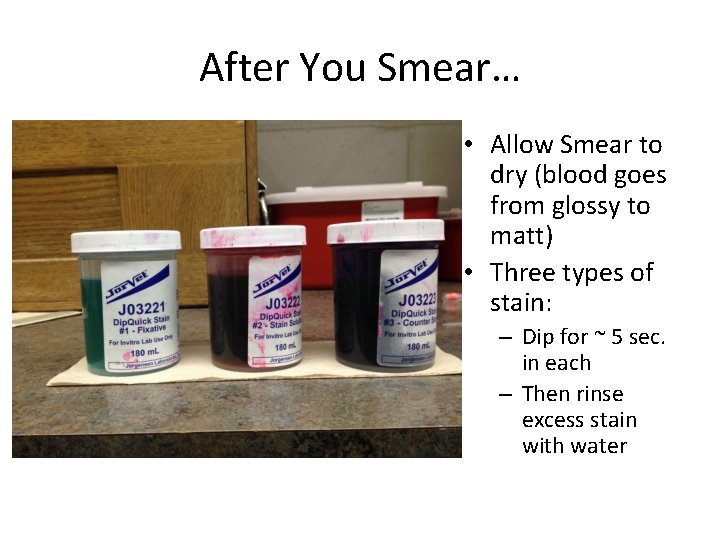 After You Smear… • Allow Smear to dry (blood goes from glossy to matt)
