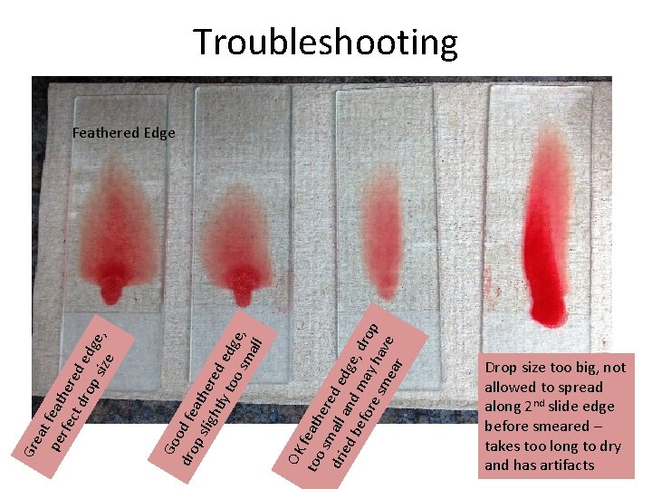 OK too feath sm ere dri all d e ed and dge be for