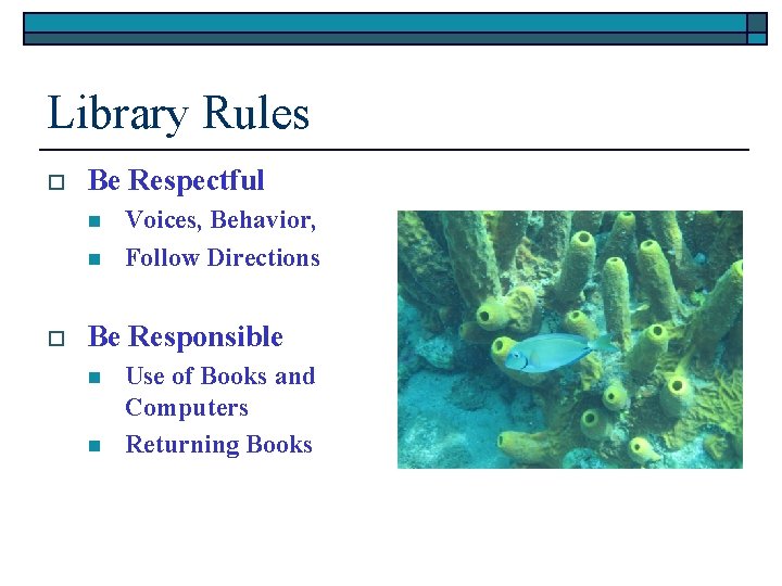 Library Orientation Soaring Into Good Books Library Rules