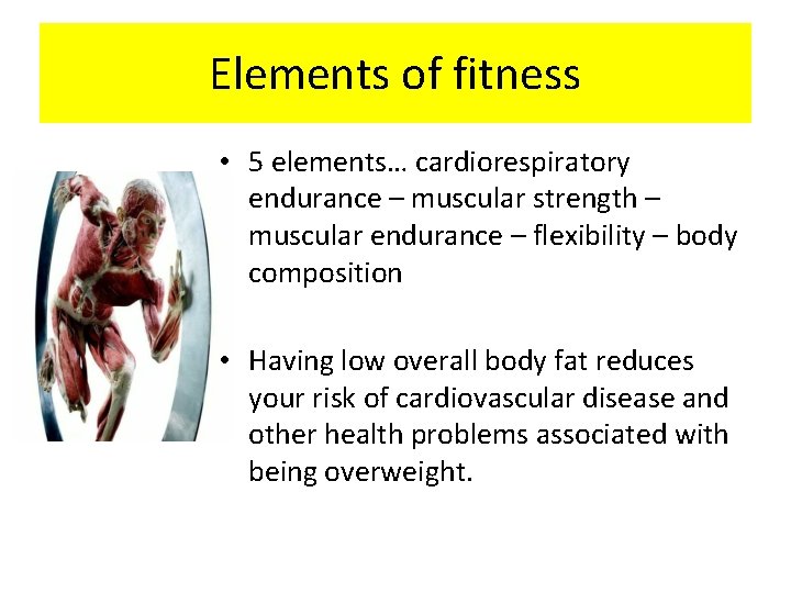 Elements of fitness • 5 elements… cardiorespiratory endurance – muscular strength – muscular endurance