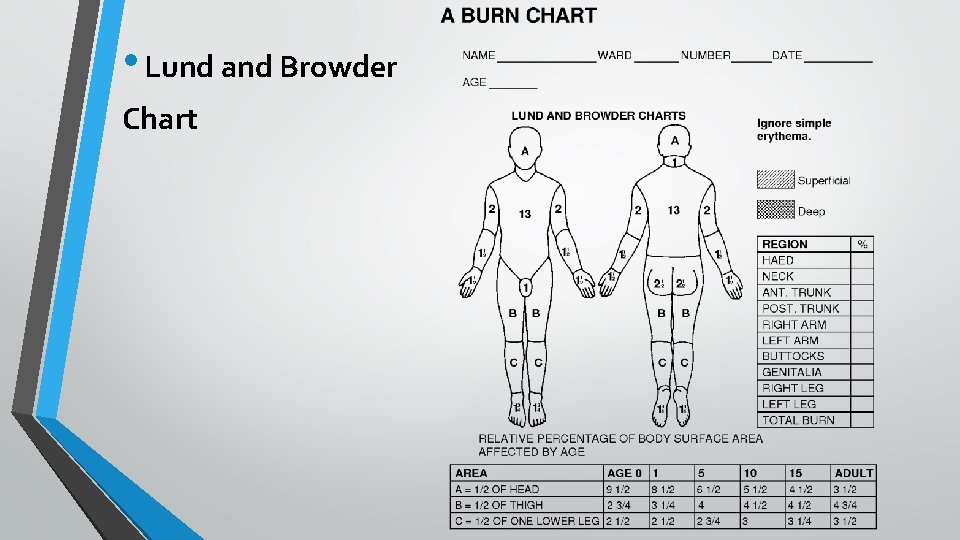  • Lund and Browder Chart 