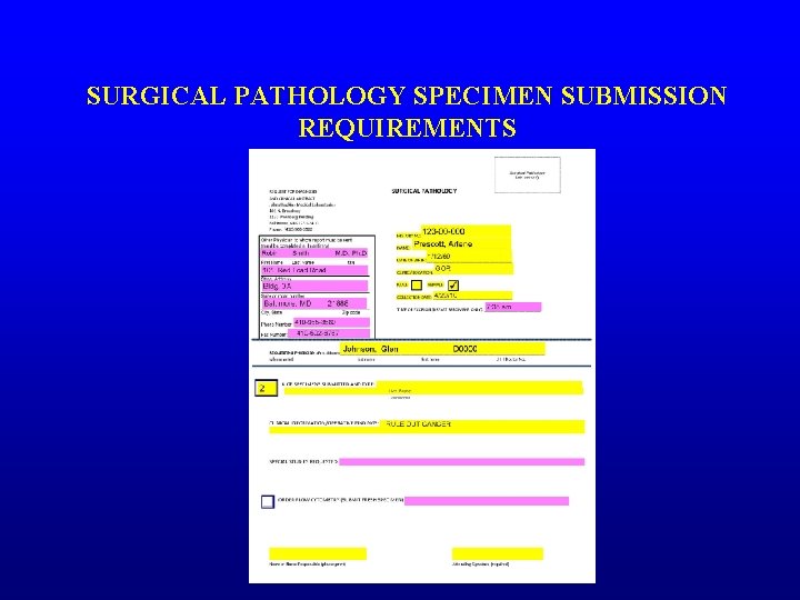 SURGICAL PATHOLOGY SPECIMEN SUBMISSION REQUIREMENTS 