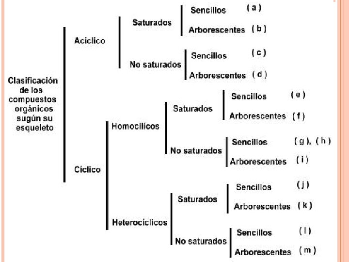 TIPOS DE CADENAS Dependiendo la forma de la cadena de átomos de carbono, los