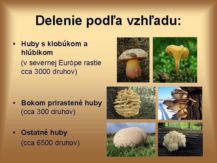 Delenie podľa vzhľadu: • Huby s klobúkom a hlúbikom (v severnej Európe rastie cca