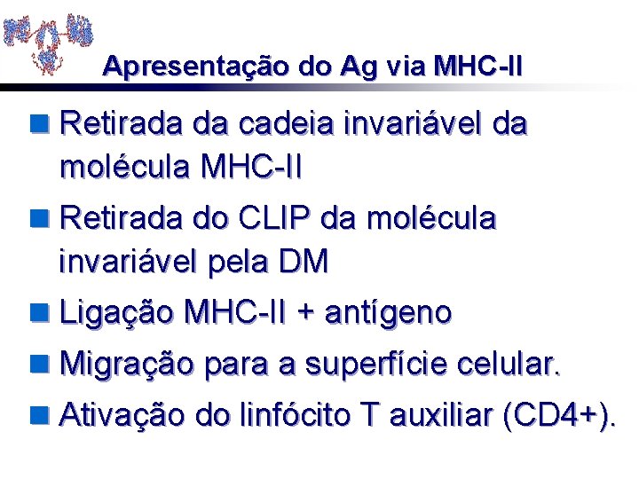 Apresentação do Ag via MHC-II n Retirada da cadeia invariável da molécula MHC-II n