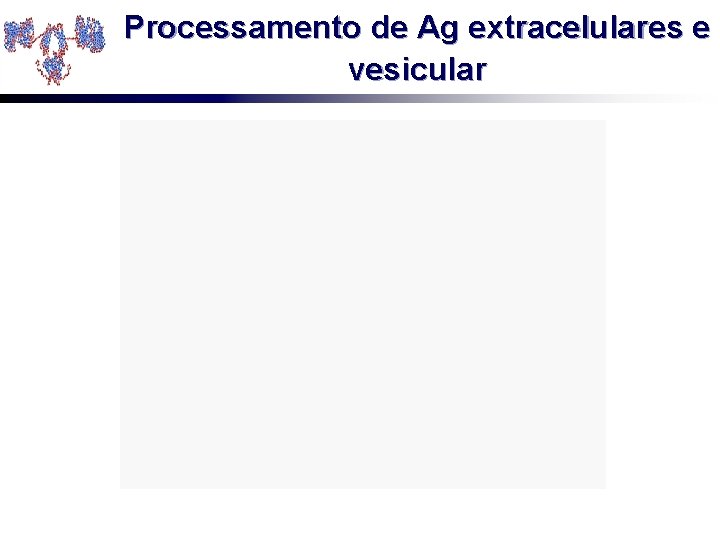 Processamento de Ag extracelulares e vesicular 