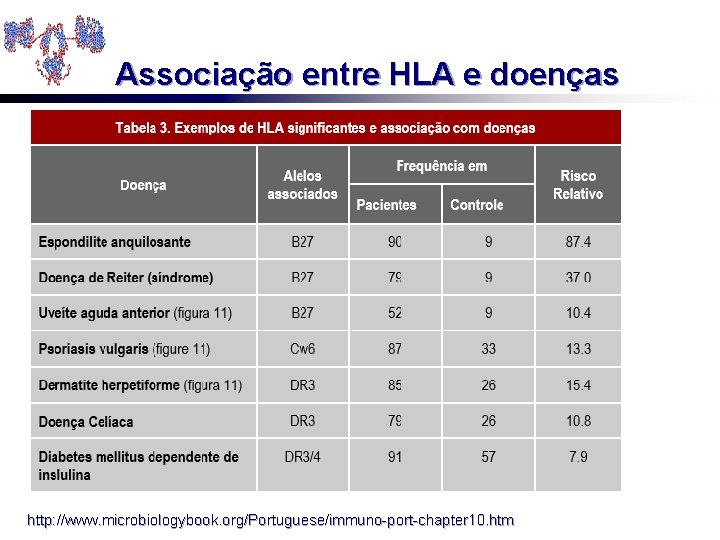 Associação entre HLA e doenças http: //www. microbiologybook. org/Portuguese/immuno-port-chapter 10. htm 