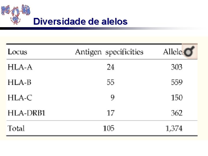 Diversidade de alelos 