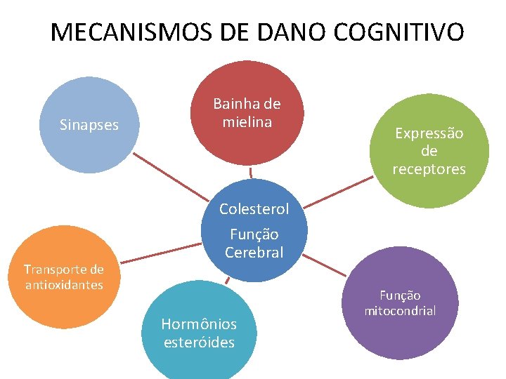 MECANISMOS DE DANO COGNITIVO Sinapses Transporte de antioxidantes Bainha de mielina Expressão de receptores